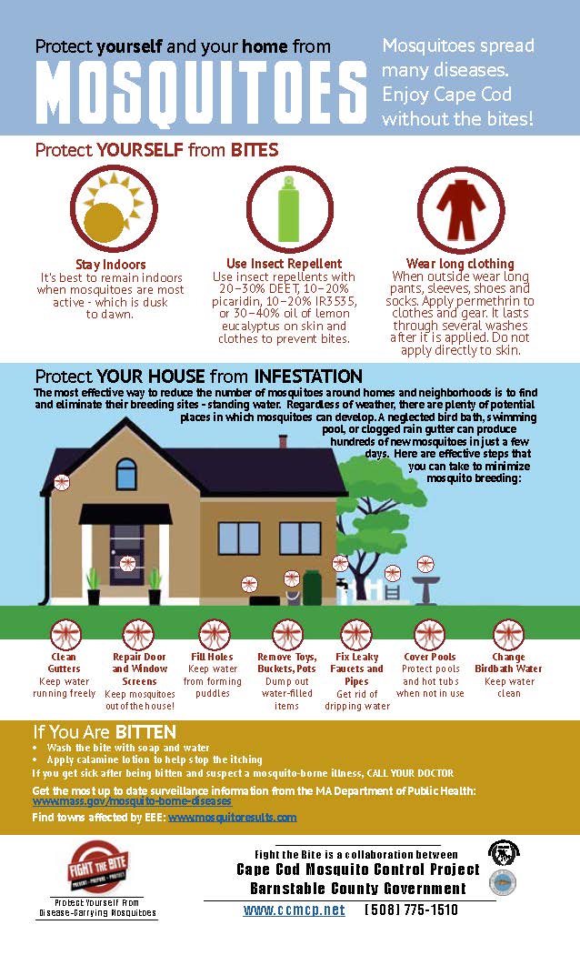 Fight the Bite Mosquito Poster