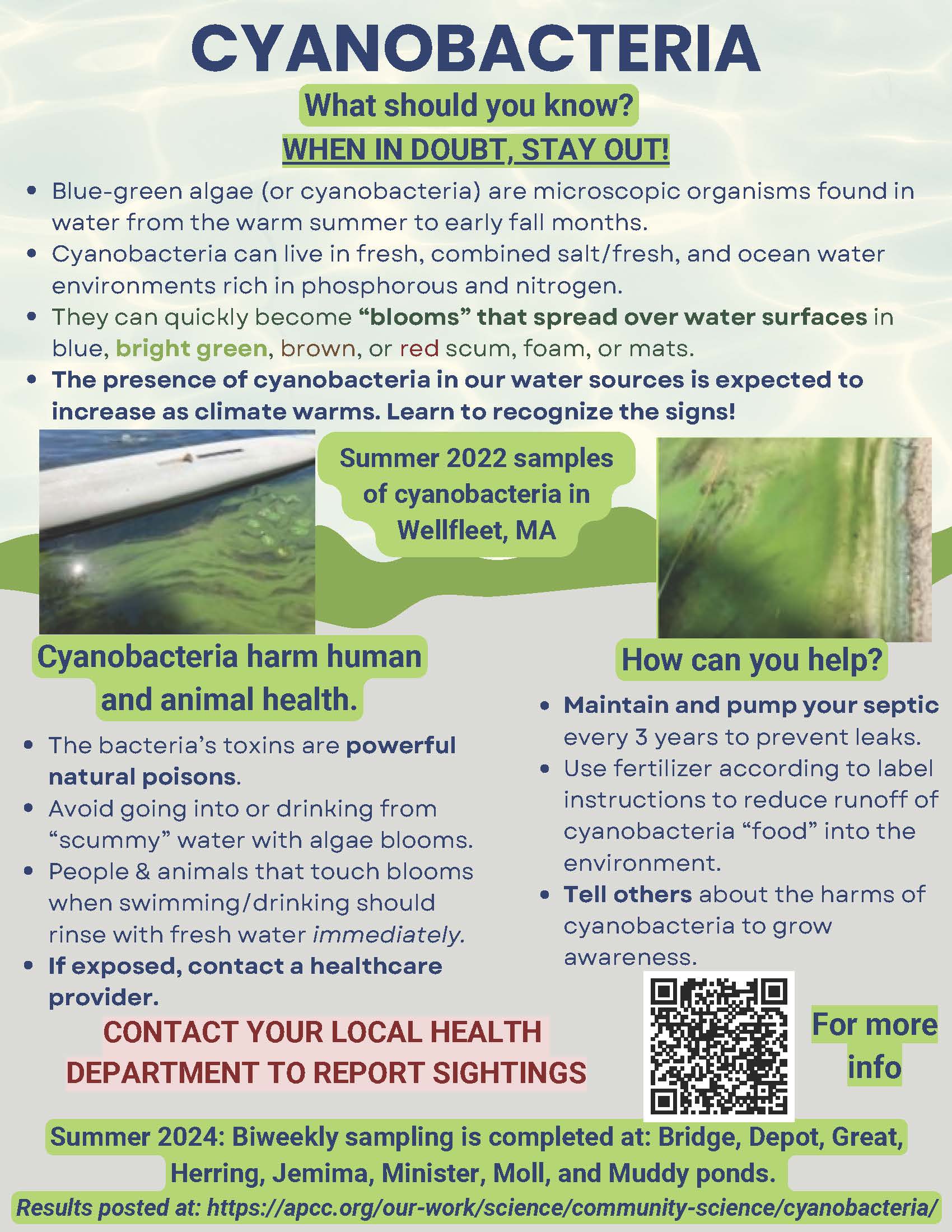 Cyanobacteria (Eastham posting) 2024