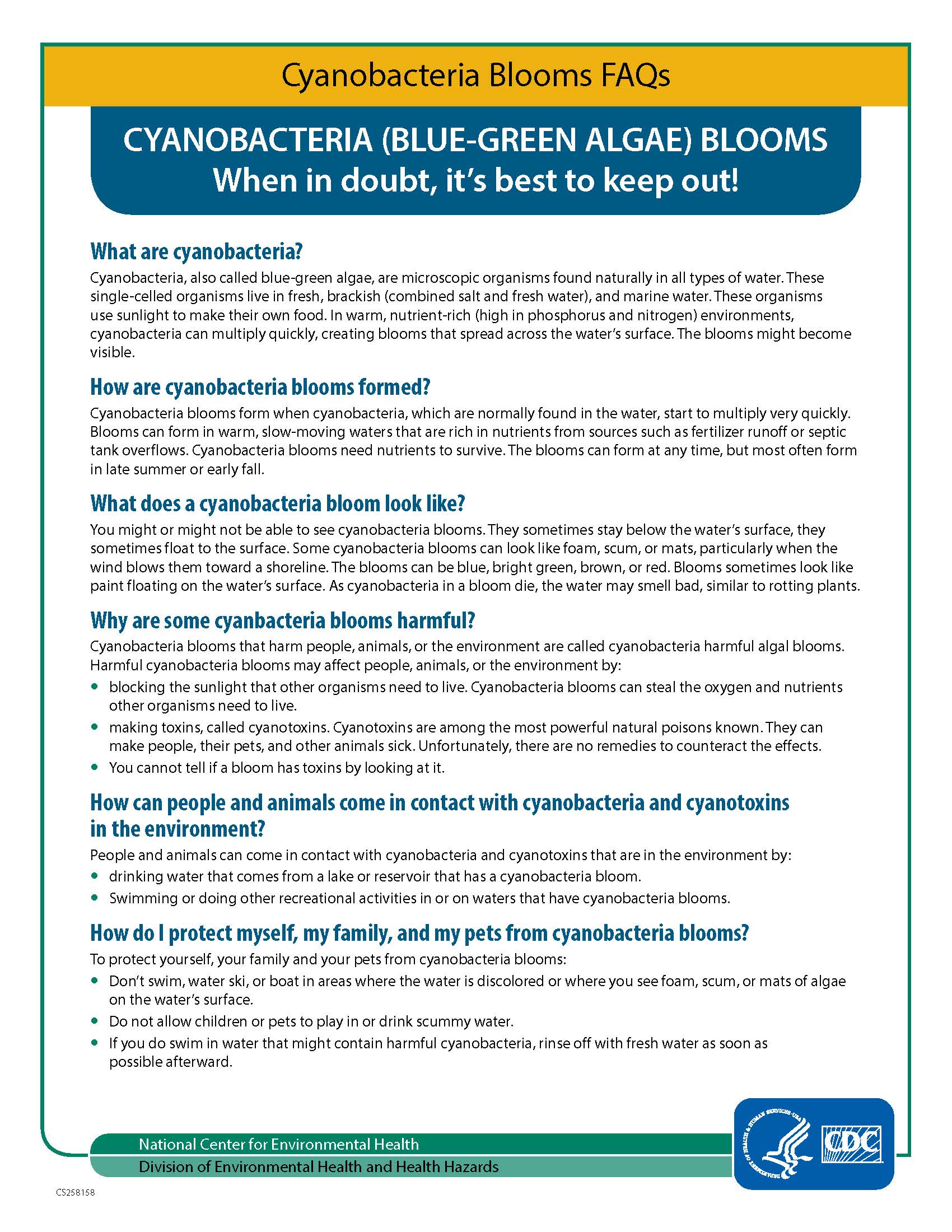 Cyanobacteria Bloom FAQs_Page_1